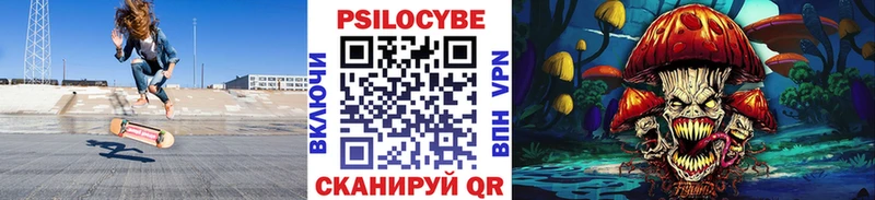 Псилоцибиновые грибы Psilocybe  блэк спрут зеркало  Талица 